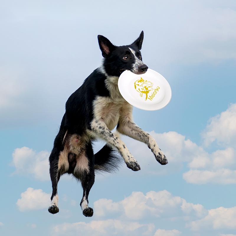 Flying Disc Dog Training Toy - Ouzey ของเล่นแผ่นดิสก์สำหรับฝึกสัตว์เลี้ยงทนทานต่อการกัดฝึกสุนัขแบบโต้ตอบกลางแจ้งสำหรับสุนัขช่วยฝึกฝนของเล่นเครื่องประดับสุนัขสัตว์เลี้ยง