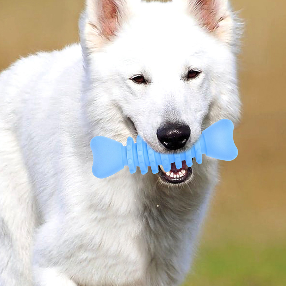 ของเล่นเคี้ยวรูปกระดูกสำหรับสุ - Teeth Cleaning Dog Chew Bone บทวิจารณ์และราคา