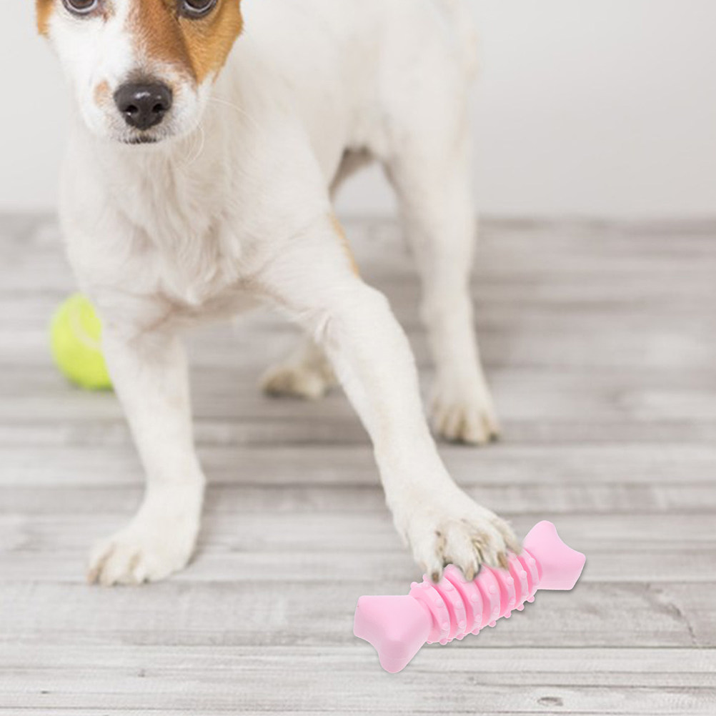 ของเล่นเคี้ยวรูปกระดูกสำหรับสุ - Teeth Cleaning Dog Chew Bone บทวิจารณ์และราคา