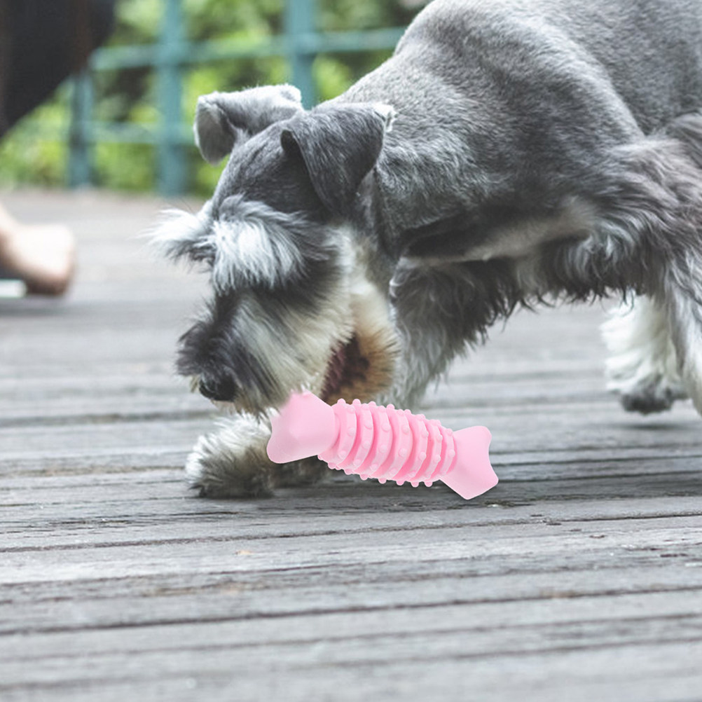 ของเล่นเคี้ยวรูปกระดูกสำหรับสุ - Teeth Cleaning Dog Chew Bone บทวิจารณ์และราคา