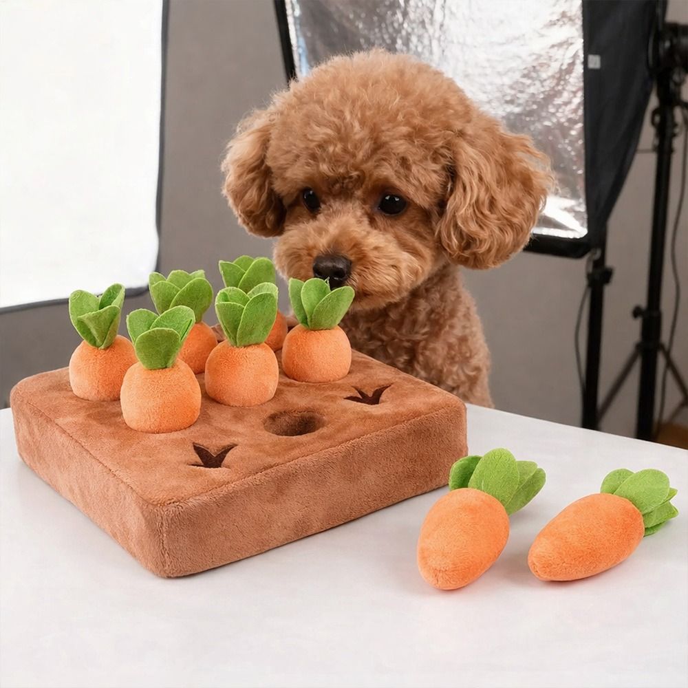 แผ่นกิจกรรมสำหรับสุนัข ช่วยคลา - Snuffle Mat For Dogs บทวิจารณ์และราคา