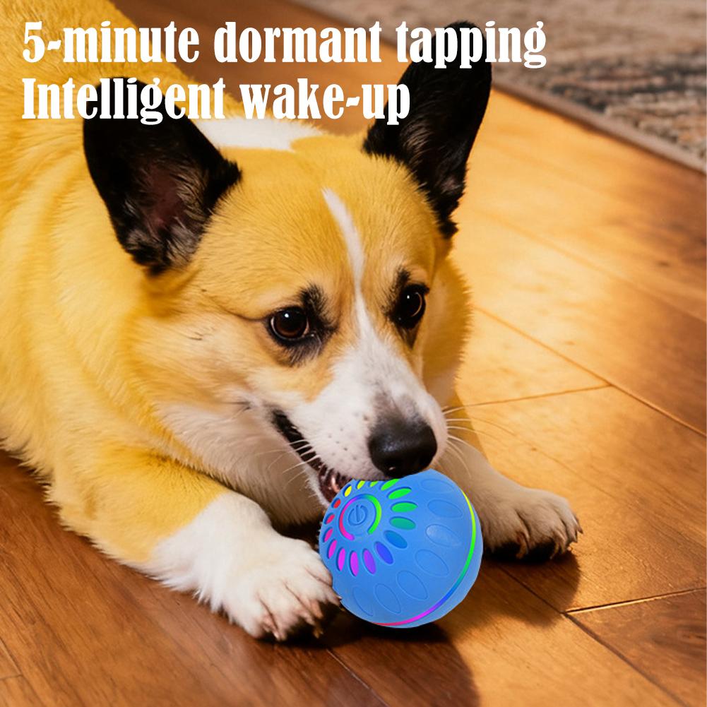 ลูกบอลของเล่นสุนัขอัจฉริยะ แบบ - Automatic Moving Dog Ball บทวิจารณ์และราคา