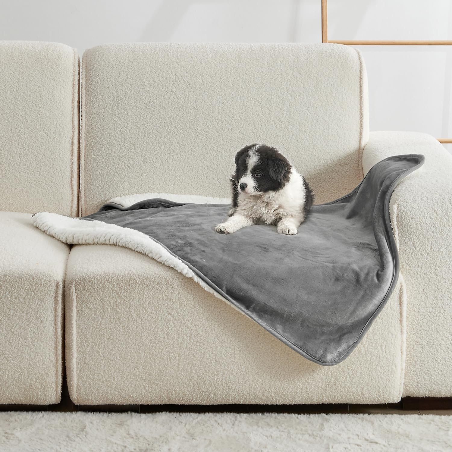ผ้าห่มสัตว์เลี้ยงสีพื้น ผ้าห่ม - Pet Beds บทวิจารณ์และราคา