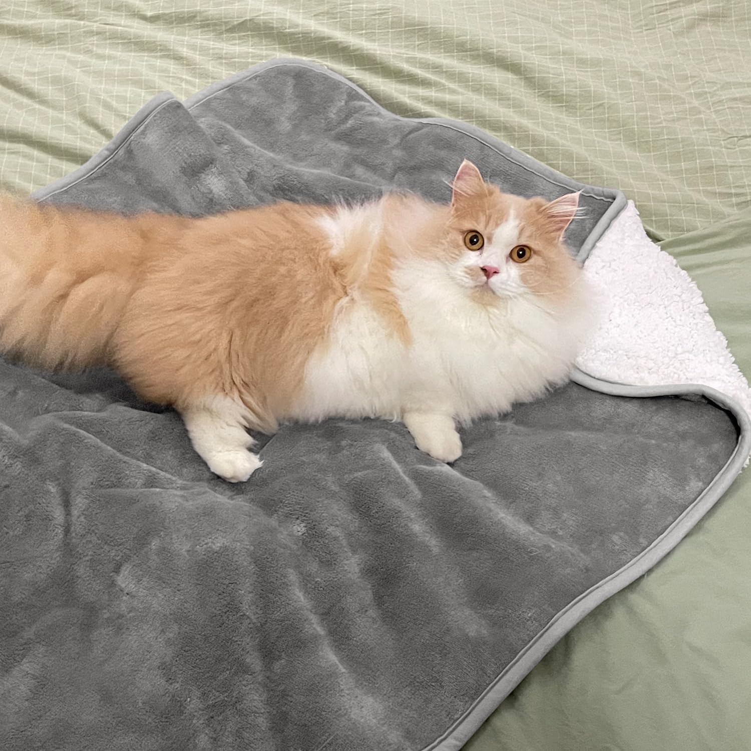 ผ้าห่มสัตว์เลี้ยงสีพื้น ผ้าห่ม - Pet Beds บทวิจารณ์และราคา