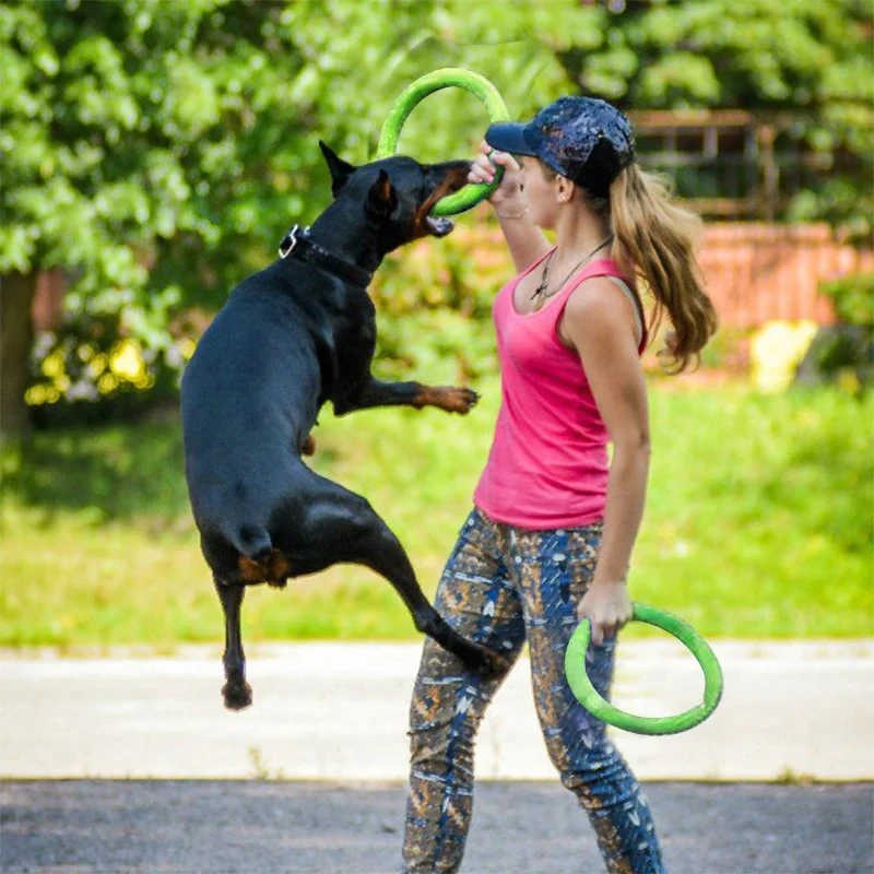 ของเล่นสุนัขของเล่นสัตว์เลี้ยง - Indestructible Dog Chew Toy บทวิจารณ์และราคา