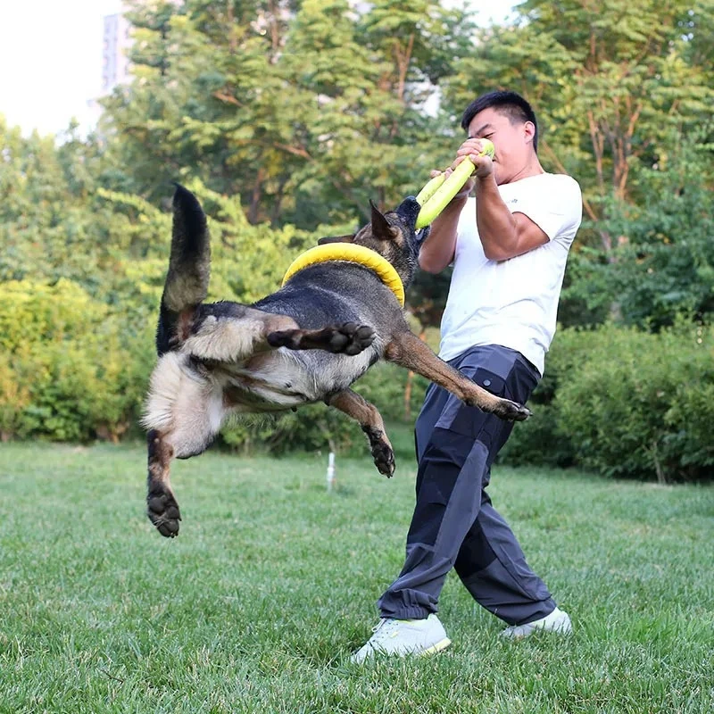 ของเล่นสุนัขของเล่นสัตว์เลี้ยง - Indestructible Dog Chew Toy บทวิจารณ์และราคา