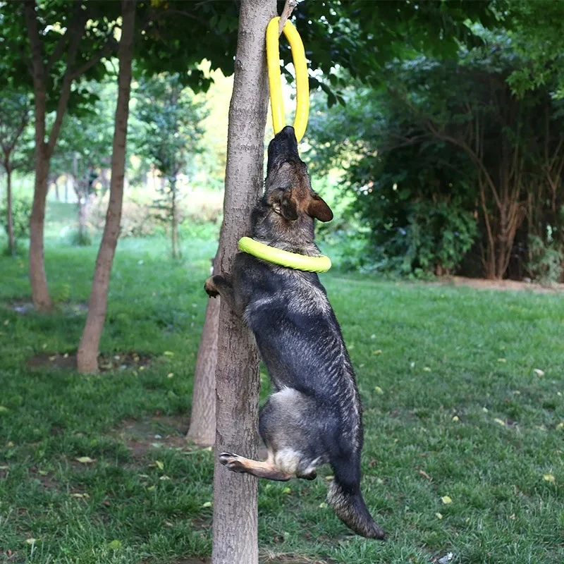 ของเล่นสุนัขของเล่นสัตว์เลี้ยง - Indestructible Dog Chew Toy บทวิจารณ์และราคา