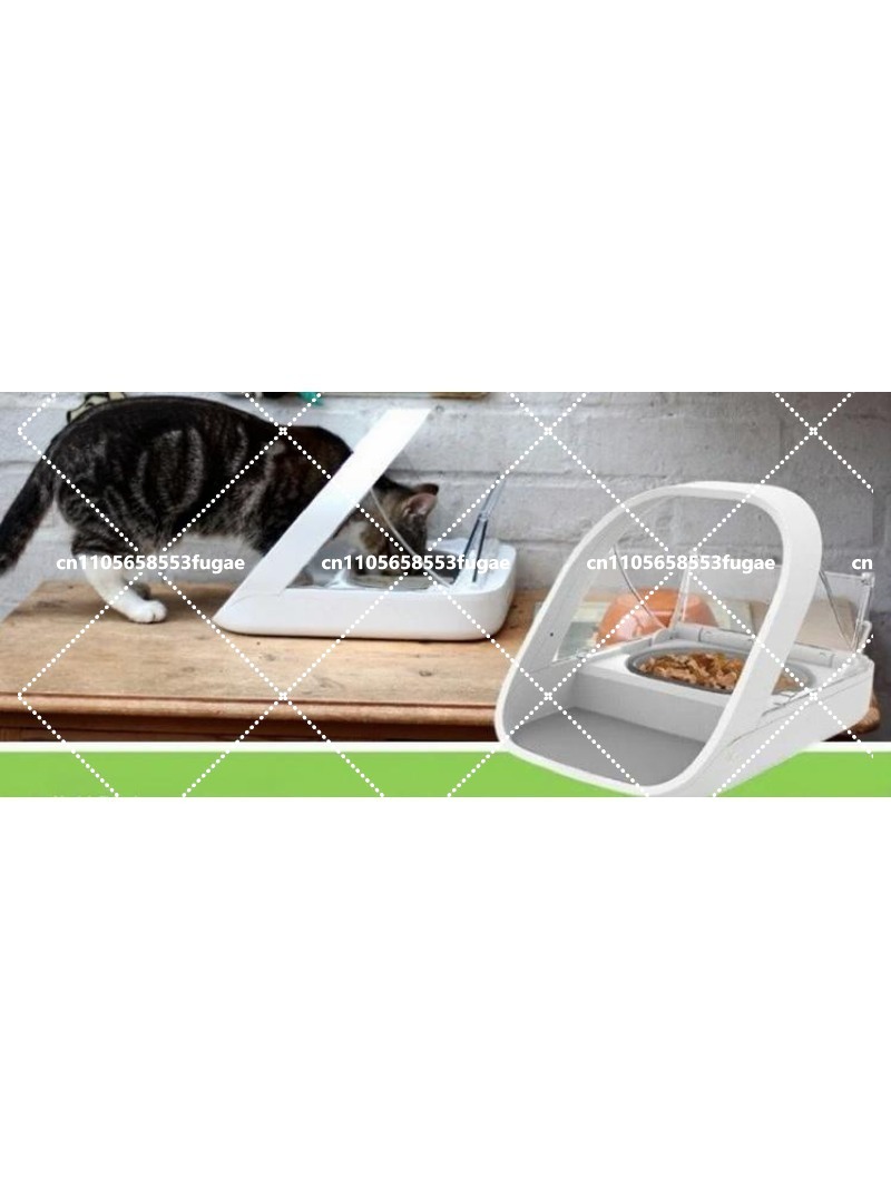 ชามอาหารสัตว์เลี้ยงอัตโนมัติแบ - Pet Feeders บทวิจารณ์และราคา