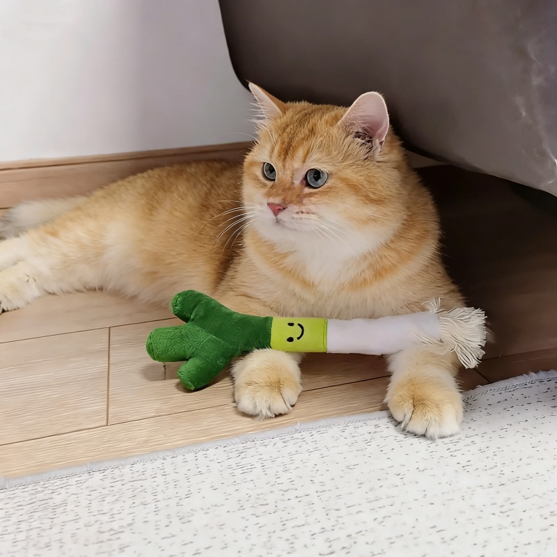 ของเล่นสัตว์เลี้ยงรูปต้นหอมน่า - Snuffle Mat For Dogs บทวิจารณ์และราคา