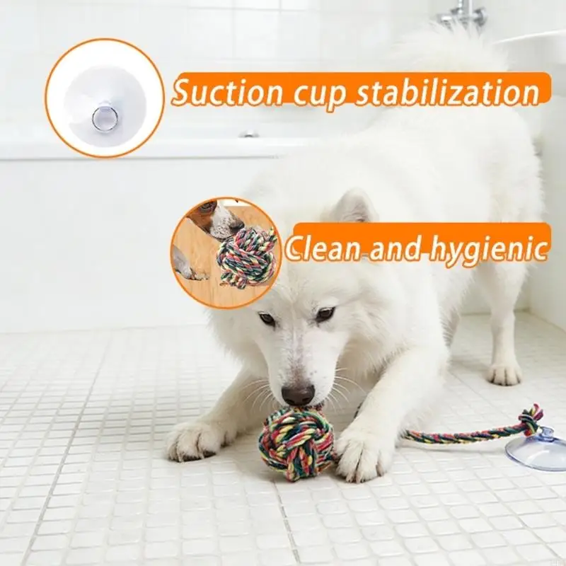 ของเล่นสุนัขแสนสนุกที่ปลอดภัยพ - Suction Cup Dog Tug Toy บทวิจารณ์และราคา