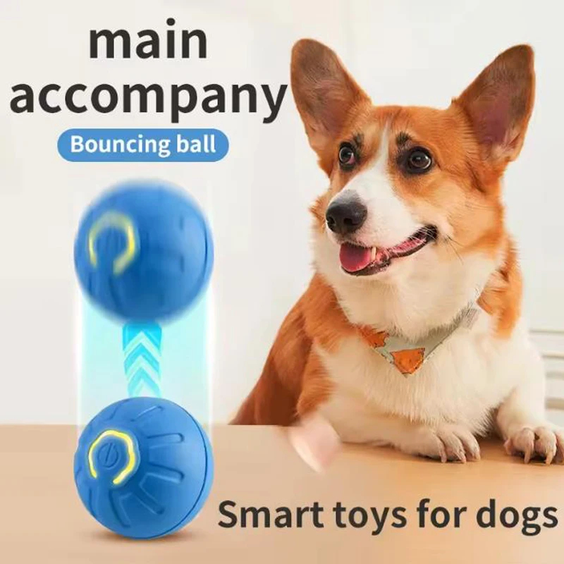 ของเล่นสัตว์เลี้ยงอัจฉริยะ ลูก - Automatic Moving Dog Ball บทวิจารณ์และราคา
