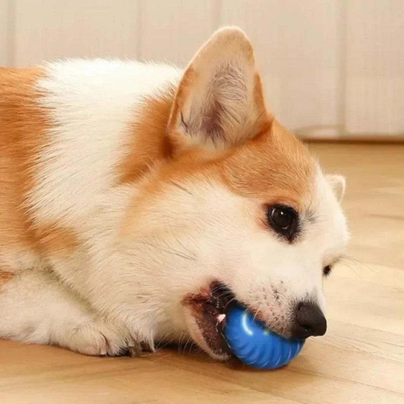 ของเล่นลูกบอลเคลื่อนที่อัตโนมั - Automatic Moving Dog Ball บทวิจารณ์และราคา