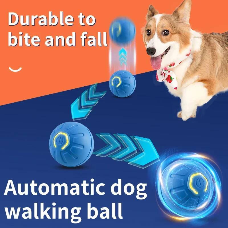 ของเล่นสุนัขอัจฉริยะ ลูกบอลอิเ - Automatic Moving Dog Ball บทวิจารณ์และราคา