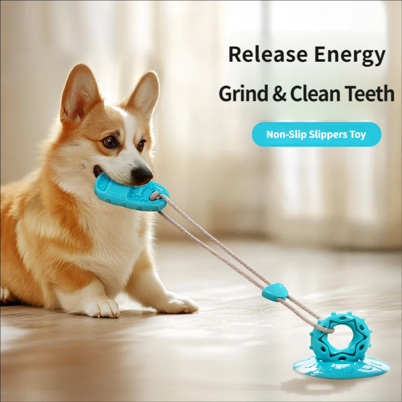 ของเล่นดึงเชือกสำหรับสุนัขแบบม - Suction Cup Dog Tug Toy บทวิจารณ์และราคา