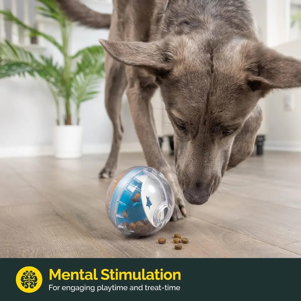 IQ Treat Ball ของเล่นสุนัขแบบจ - Snuffle Mat For Dogs บทวิจารณ์และราคา